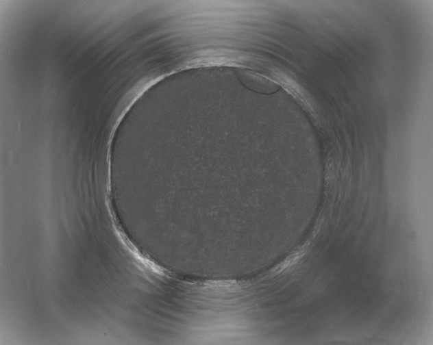 X0000066110844200603241542
