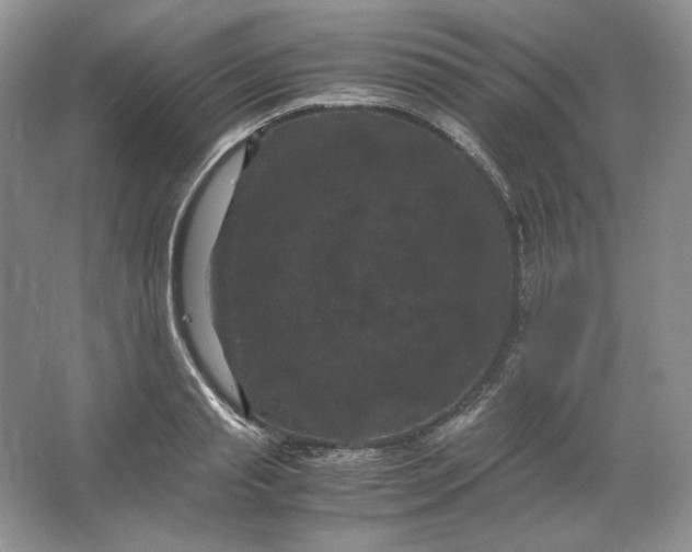 X0000066110845200603241542