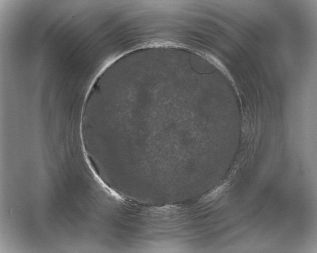 X0000066110847200603241542