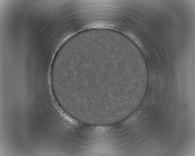 X0000066110848200603241542