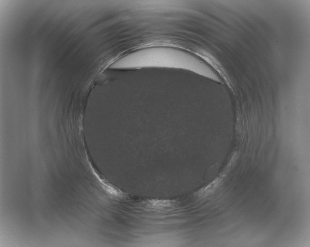X0000066110849200603241542
