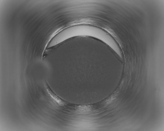 X0000066110850200603241542
