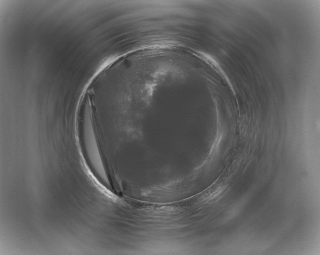 X0000066110851200603241542