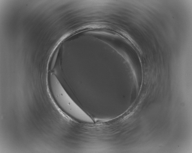 X0000066110853200603241542