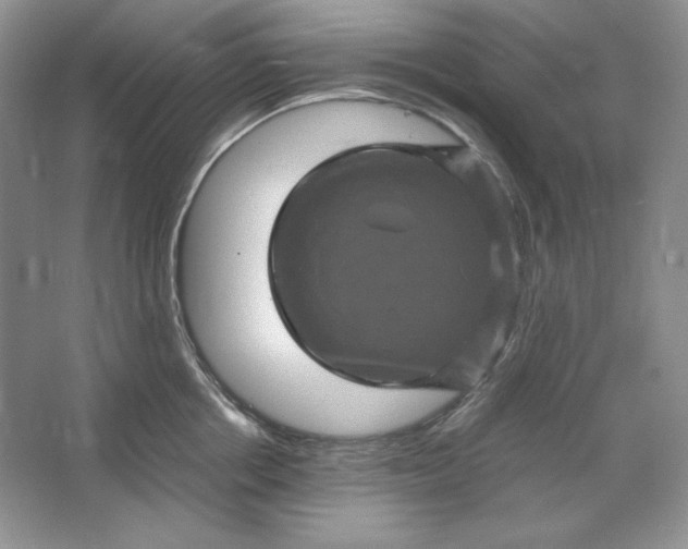 X0000066110858200603241542