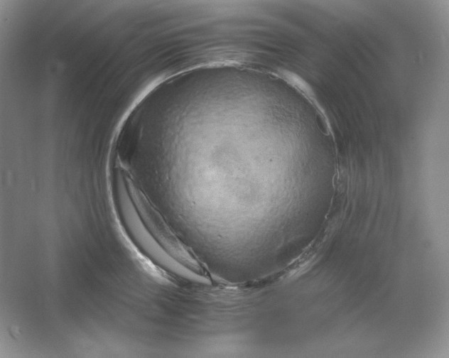 X0000066110859200603241542
