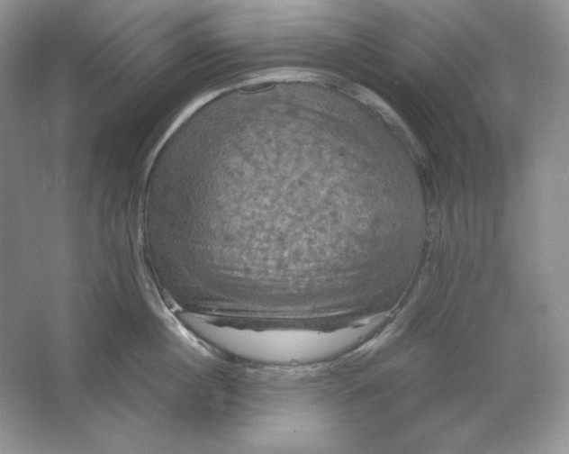 X0000066110860200603241542