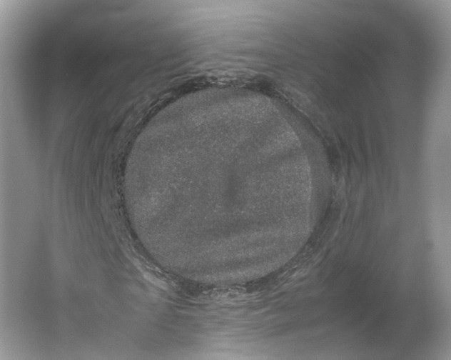 X0000066110865200603241542