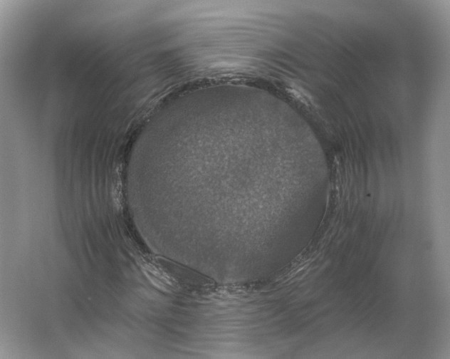 X0000066110868200603241541