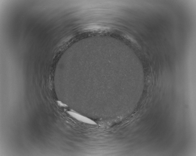 X0000066110869200603241541