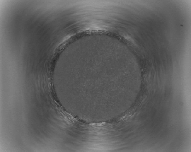 X0000066110870200603241541