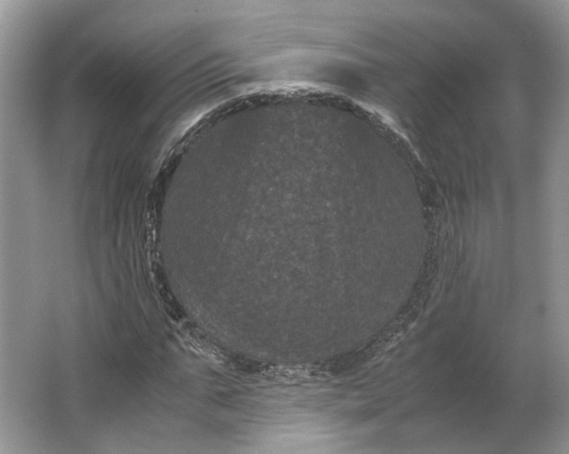X0000066110871200603241541
