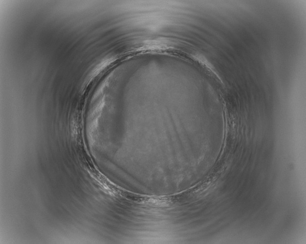 X0000066110874200603241541