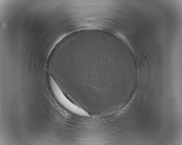 X0000066110875200603241541