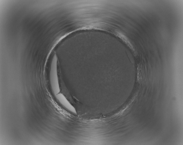X0000066110876200603241541