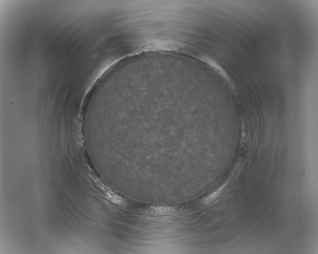 X0000066110878200603241541