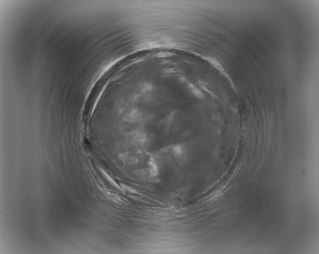X0000066110879200603241541