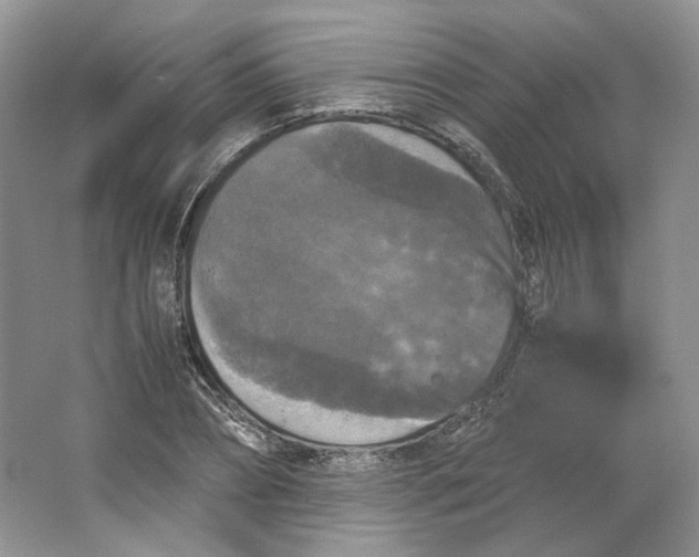 X0000066110882200603241541