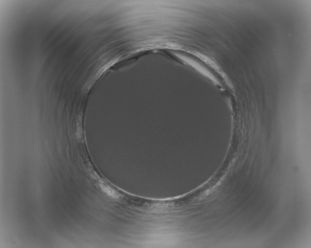 X0000066110889200603241541