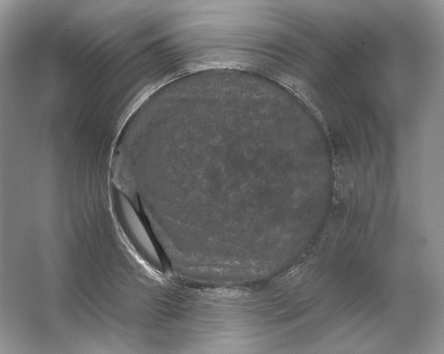 X0000066110890200603241541