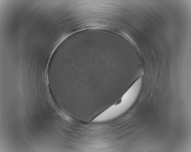 X0000066110891200603241541