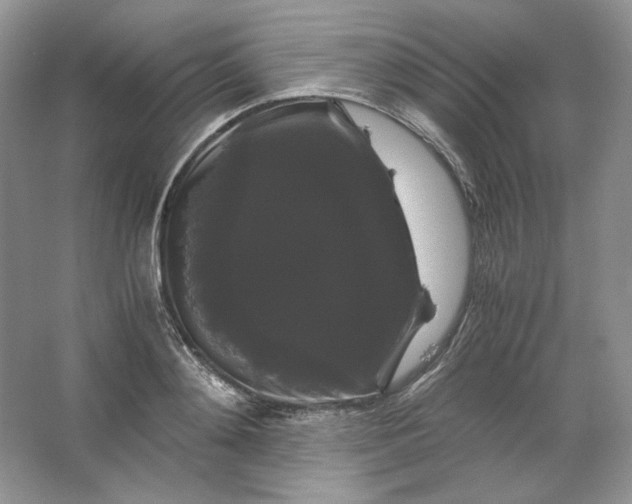 X0000066110892200603241541