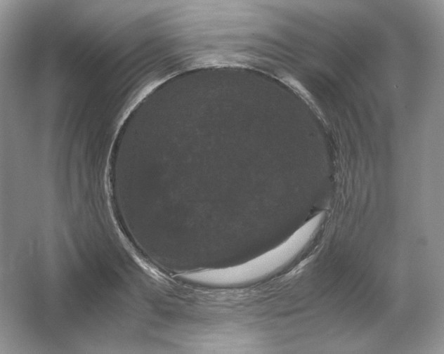 X0000066110893200603241541