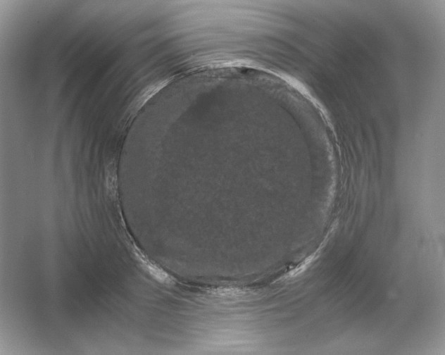 X0000066110897200603241541
