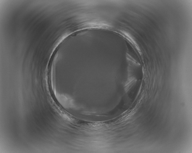 X0000066110899200603241541