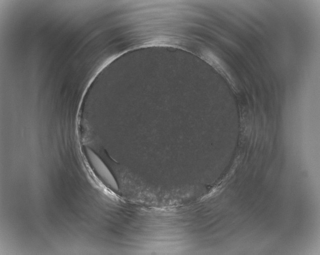 X0000066110900200603241541