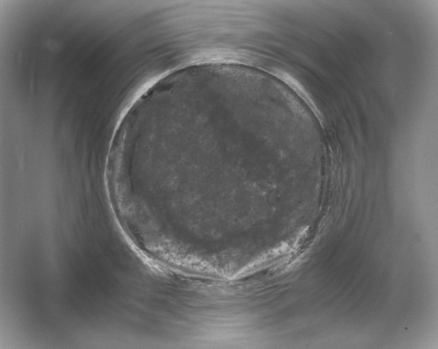 X0000066110901200603241541