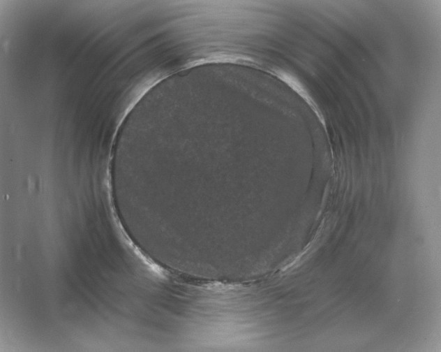 X0000066110906200603241541