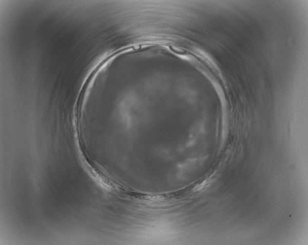 X0000066110907200603241541