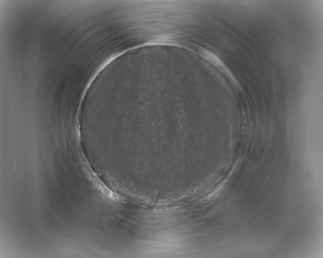 X0000066110908200603241541