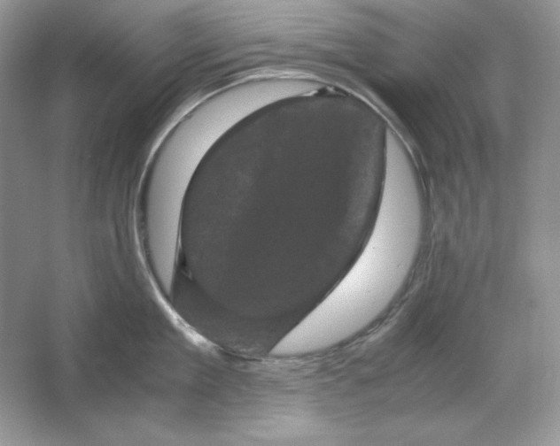 X0000066110909200603241541