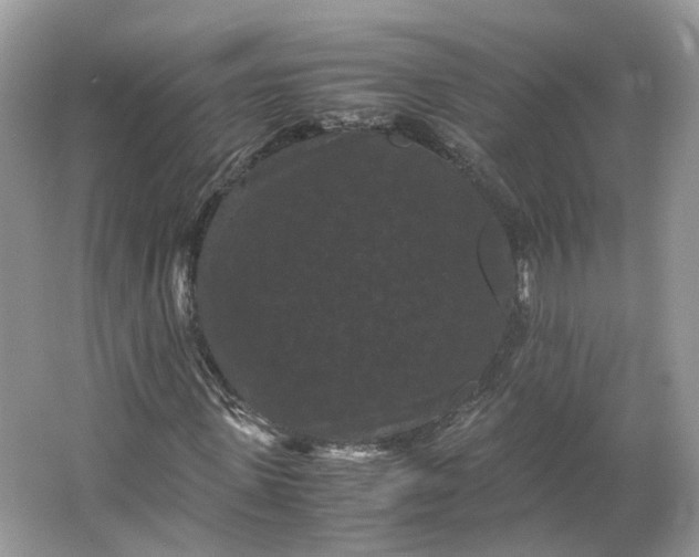 X0000066110915200603241540