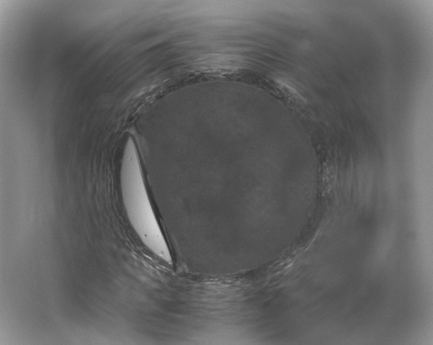 X0000066110917200603241540