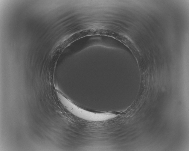X0000066110919200603241540