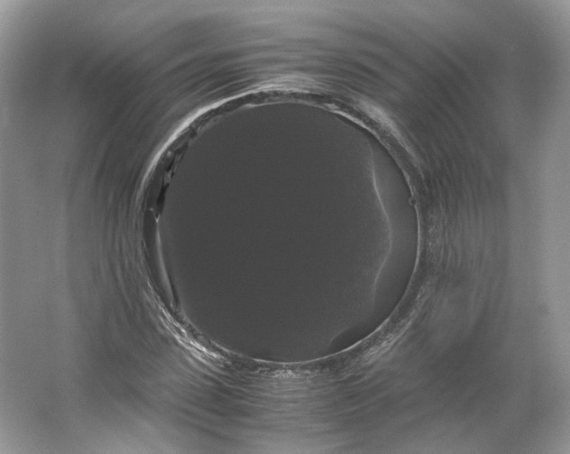 X0000066110923200603241540