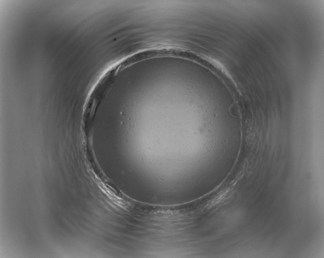 X0000066110927200603241540