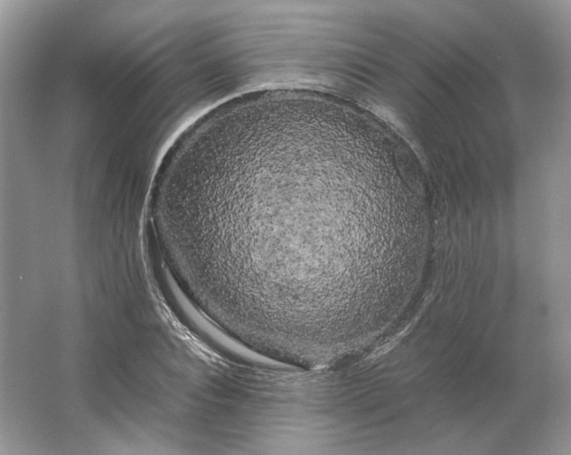 X0000066110928200603241540