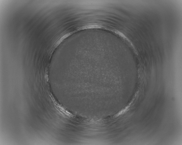 X0000066110929200603241540