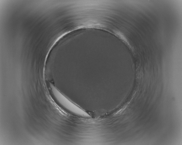 X0000066110932200603241540