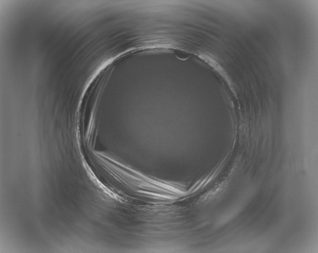 X0000066110941200603241540