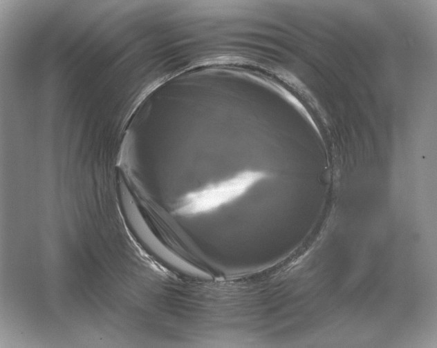 X0000066110945200603241540