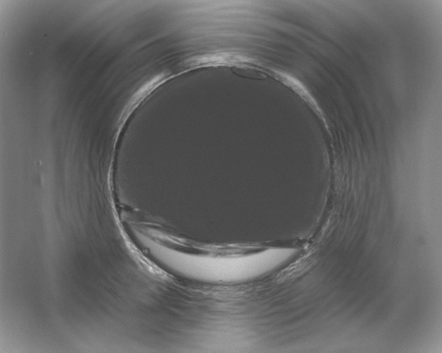 X0000066110946200603241540