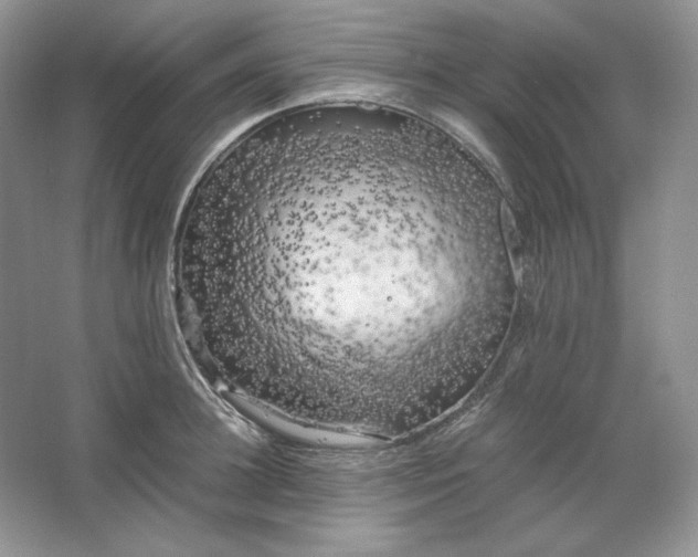 X0000066110948200603241540