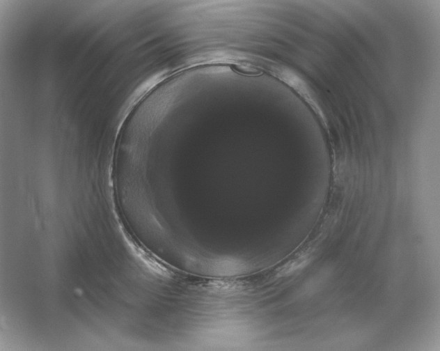 X0000066110954200603241541