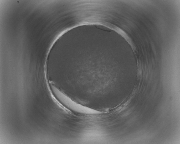 X0000066110958200603241541