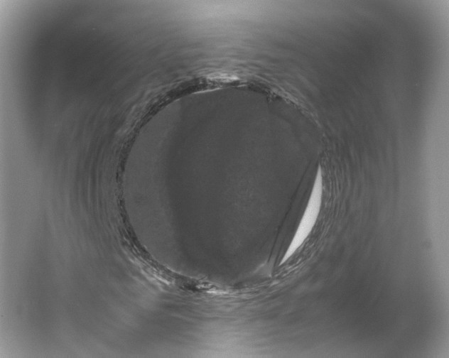 X0000066110961200603241540